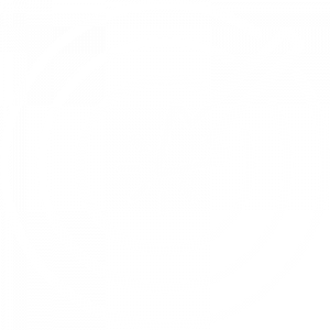 target.png